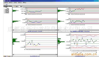 成都亞新宏道信息技術有限公司 行業專用軟件產品與信息技術咨詢服務概覽